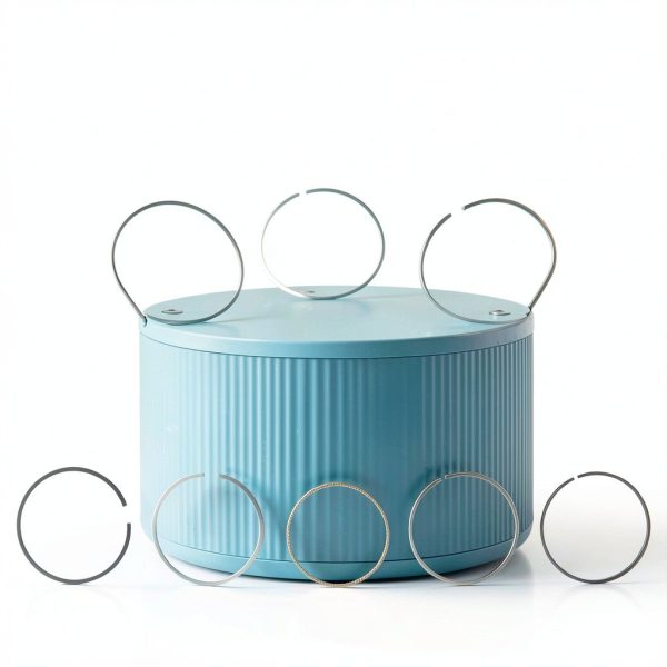 AUTOKAY Engine Piston Ring Kit 20pcs for Hyundai & Kia 2.4L L4-2
