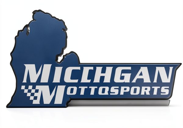 Michigan Motorsports Plasma Moly Piston Ring Set for 6.0L LS Engines-5